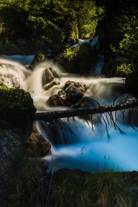 Scenic view of waterfall in forest