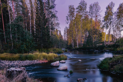 Scenic view of lake in forest during autumn