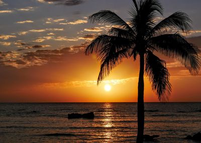 Silhouette palm tree by sea against sky during sunset