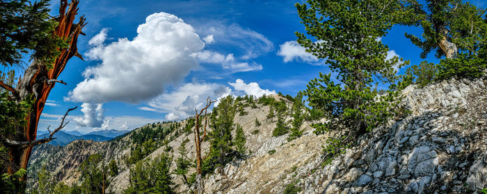 Low angle view of panoramic shot of land and trees against sky