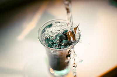 Close-up of turtle in water