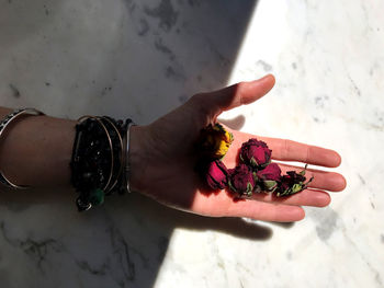 High angle view of woman hand holding purple flower