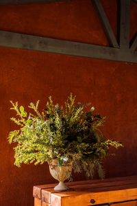 Vase with fresh green foliage placed on wooden table in terrace in sunlight