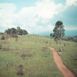 Scenic view of trees on field against sky