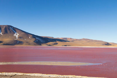 Scenic view of desert against clear blue sky