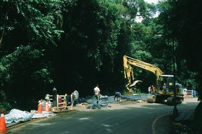 People on road by trees in city