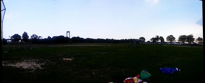 Scenic view of grassy field against clear sky