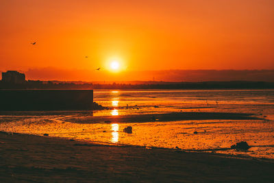 sunset