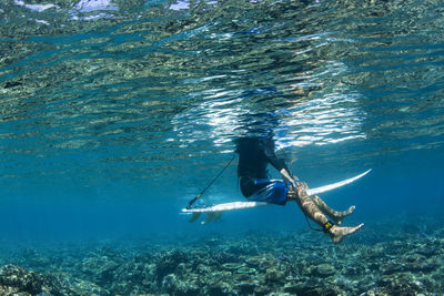 Low section of man surfing in sea