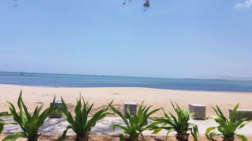 Scenic view of sea against clear sky