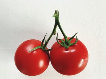 Close-up of tomatoes against white background