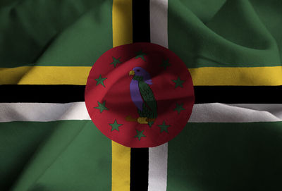 Full frame shot of flag