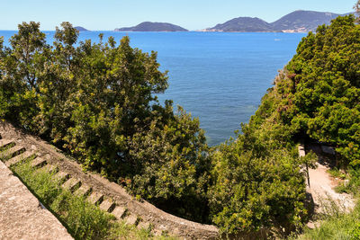 High angle view of tree by sea against sky