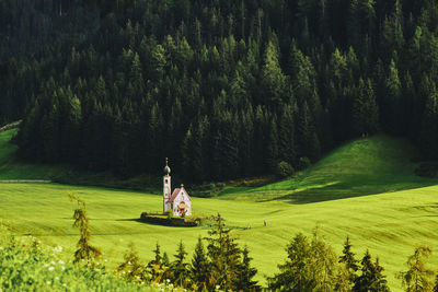 A small church with an onion dome in a green landscape with green trees in south tyrol