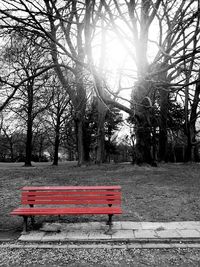 Empty bench in park