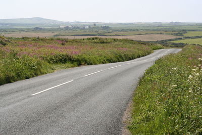 Road passing through field