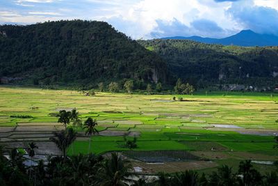 Scenic view of field against sky