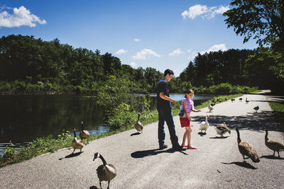 Kids feeding geese