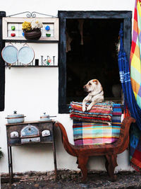Rear view of woman sitting on seat