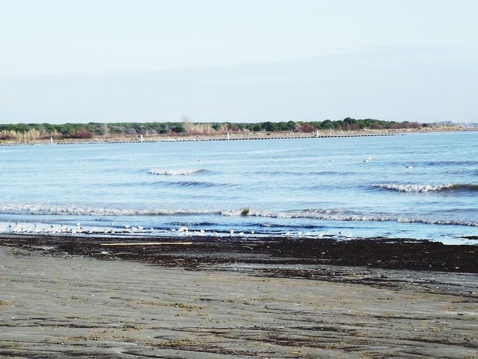 beach, water, sea, tranquil scene, tranquility, shore, sand, scenics, beauty in nature, nature, clear sky, sky, horizon over water, wave, idyllic, copy space, remote, day, outdoors, non-urban scene