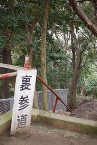 Information sign on tree trunk in park