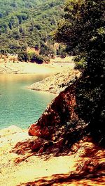 Scenic view of sea against trees in forest