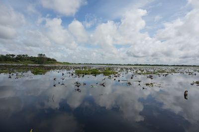 Flock of birds in lake against sky