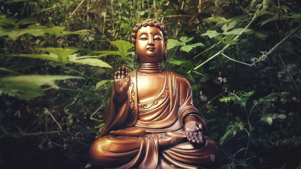 SCULPTURE OF BUDDHA STATUE AGAINST PLANTS