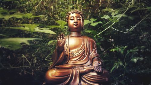 Buddha statue against plants