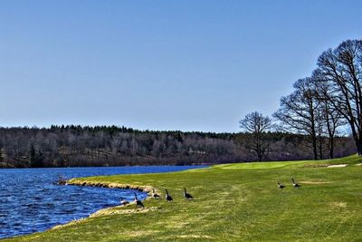 Scenic view of calm lake against blue sky