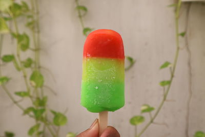 Close-up of hand holding ice cream