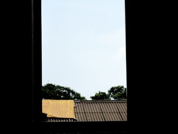 Trees against sky seen through window