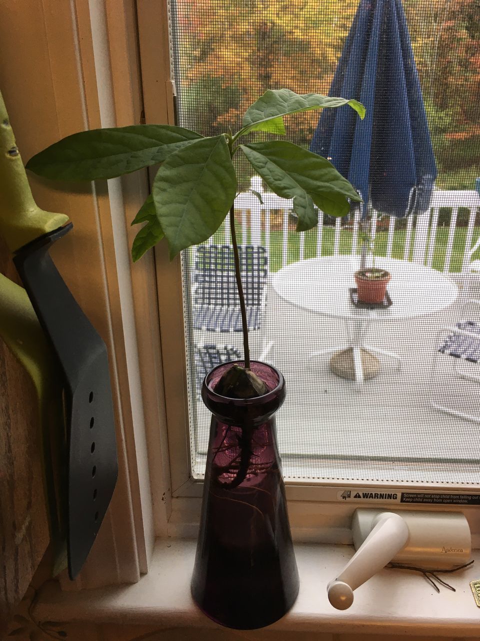 HIGH ANGLE VIEW OF BOTTLES ON GLASS WINDOW