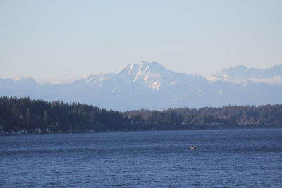Scenic view of lake against clear sky during winter