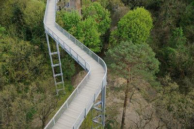 Footbridge amidst trees in forest