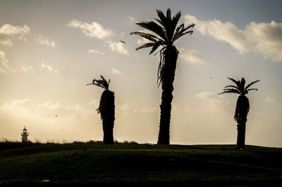 Silhouette of palm tree on field against sky