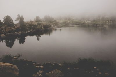 Reflection of trees in water