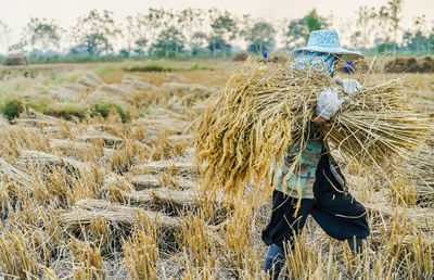 Man carrying hay bales at farm