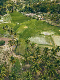 High angle view of landscape