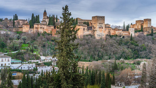 Buildings in city