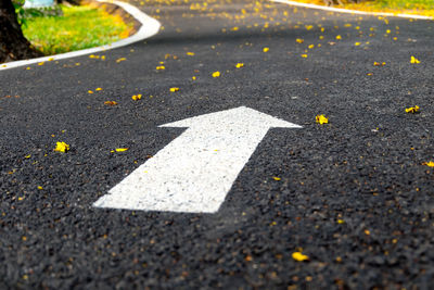 Close up of a white arrow sign on asphalt walking and running lane in the public park.