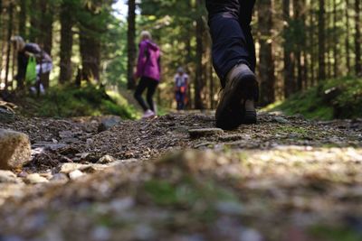 Low section of woman walking on footpath in forest