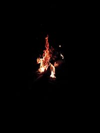 Close-up of bonfire