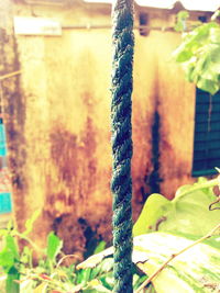 Close-up of rope tied to wooden post