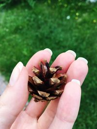 Close-up of hand holding plant