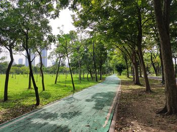 Road amidst trees on field