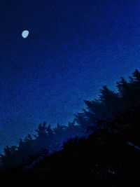 Low angle view of trees against blue sky