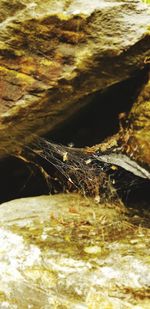 Close-up of rock by river