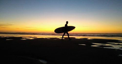 Silhouette bird on beach against sky during sunset