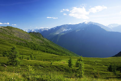 Scenic view of field and snow mountain